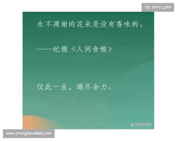 老沙传奇之路:从成长困境到心灵觉醒的全景式剖析 老沙传奇之路:从成长困境到心灵觉醒的全景式剖析
